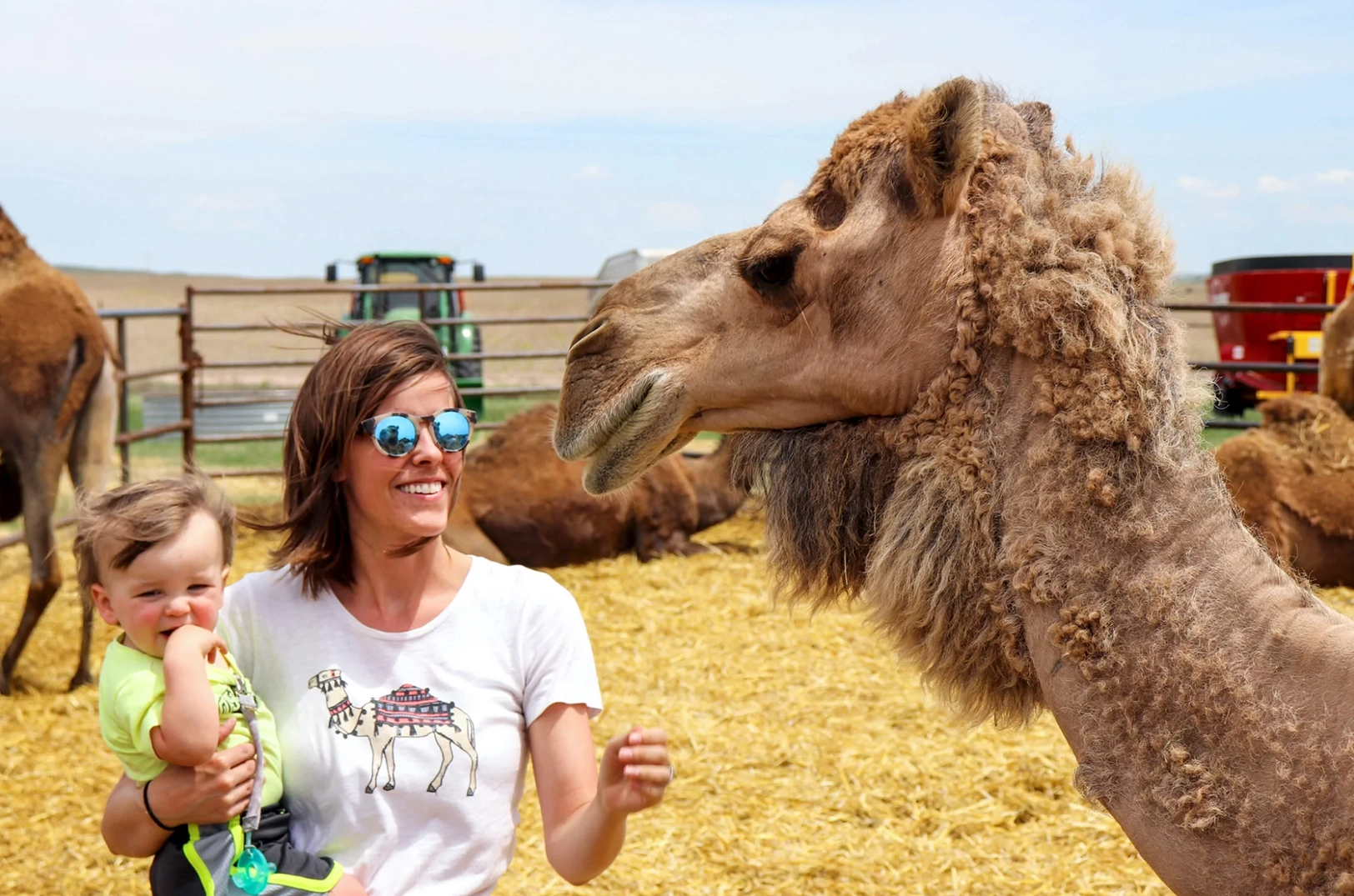WIRE camel